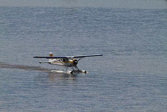 Alaskan Cruise-4143