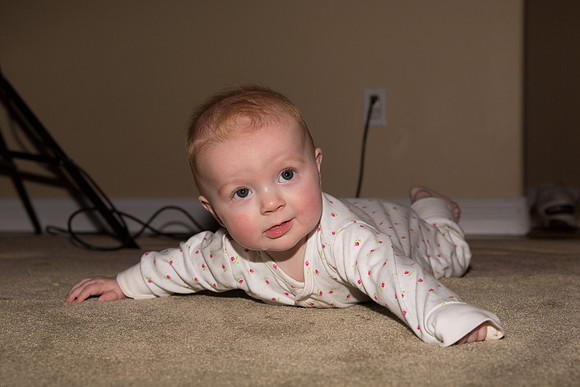 Christmas Portraits 2013-8104