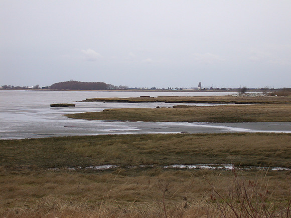 DSCN1774