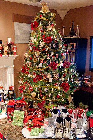 Christmas-2010-3346