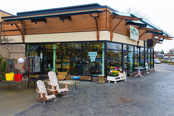 Dig This Store Photos-8854