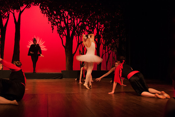 Swan Lake 2006-1101