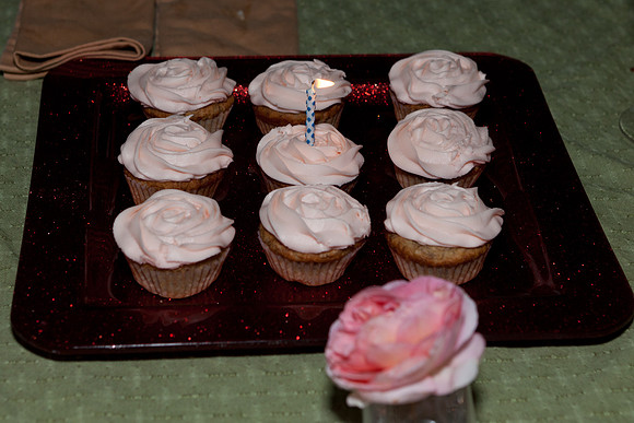 Amelia's-15th-Birthday-6151