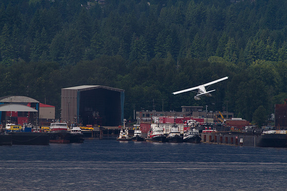 Alaskan Cruise-4161