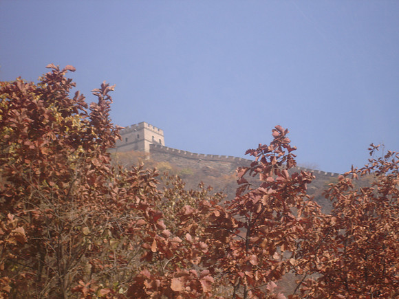 DSC02218
