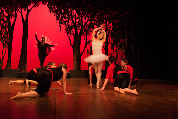 Swan Lake 2006-1103