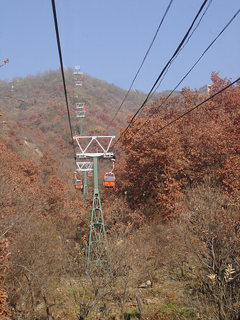 DSC02217