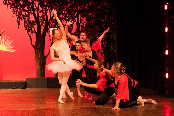 Swan Lake 2006-1107