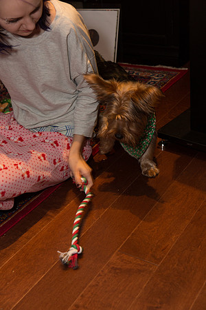 Christmas 2014-9572