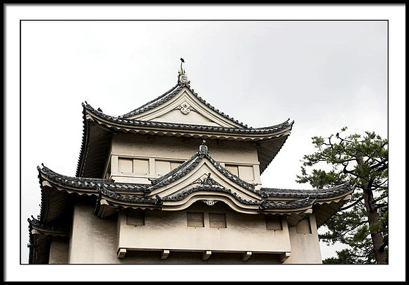 CRW_3139