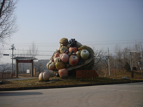 DSC02206