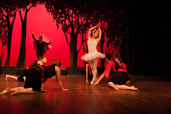 Swan Lake 2006-1102